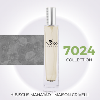 Nº 7024 - Hibiscus Mahajád - Maison Crivelli