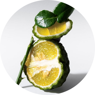 Bergamote