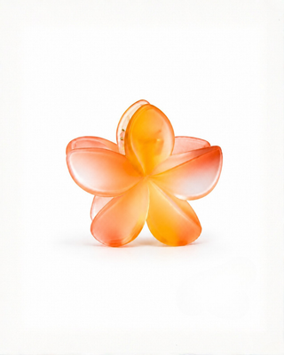 Pince à cheveux fleur