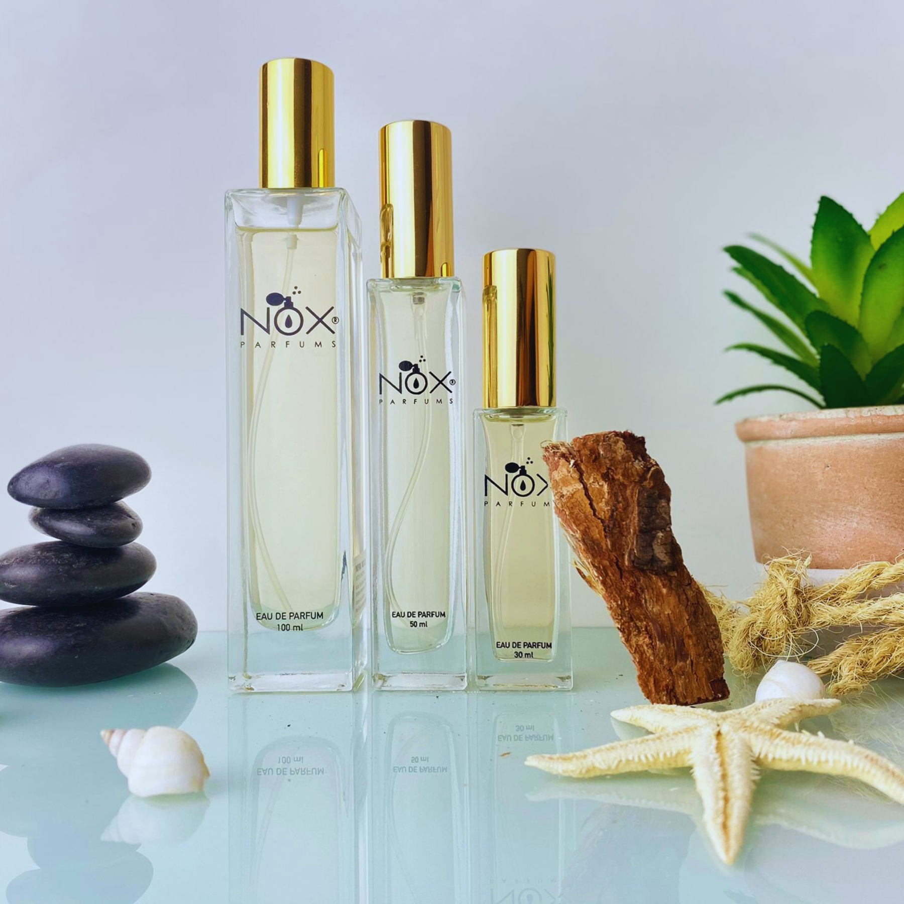 Perfume 418 eau de parfum barata para mujer de la familia olfativa floral –  PARFUMS NOX